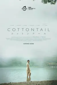  Хлопковый хвост 