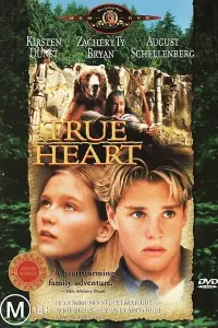  Верное сердце 