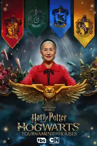  Гарри Поттер: Битва факультетов 