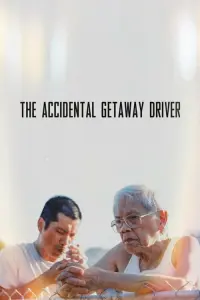  Случайно сбежавший водитель 