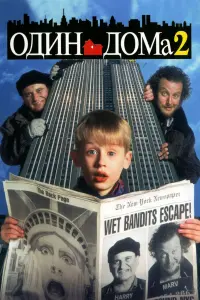  Один дома 2: Затерянный в Нью-Йорке 