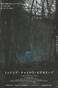  Видеозапись исчезновения ребёнка 