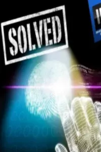  Раскрытые преступления 