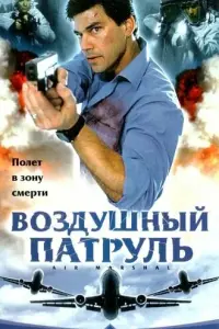  Воздушный патруль 