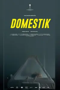  Домашний режим 